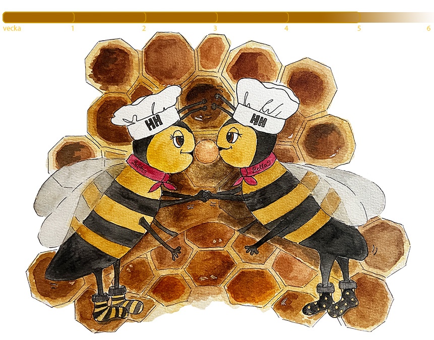 Mitt liv som arbetsbi_nektaröverföring