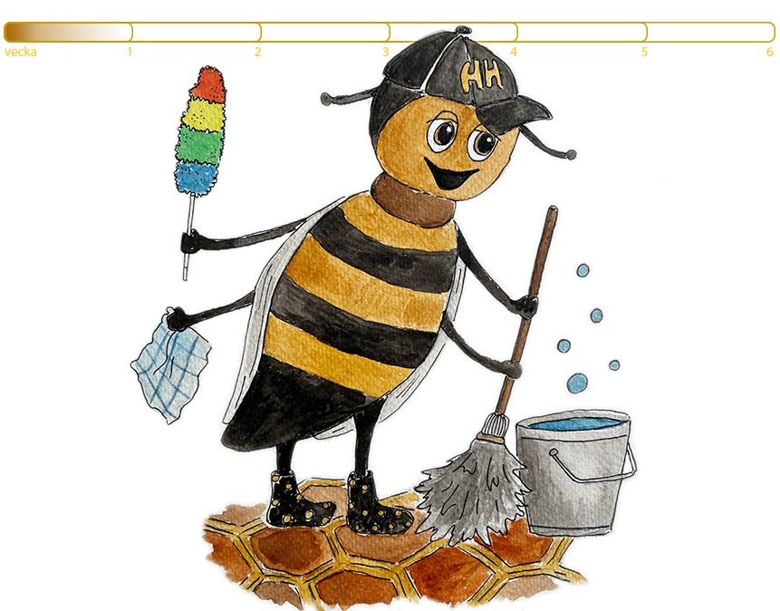 Mitt liv som arbetsbi_städar vaxceller